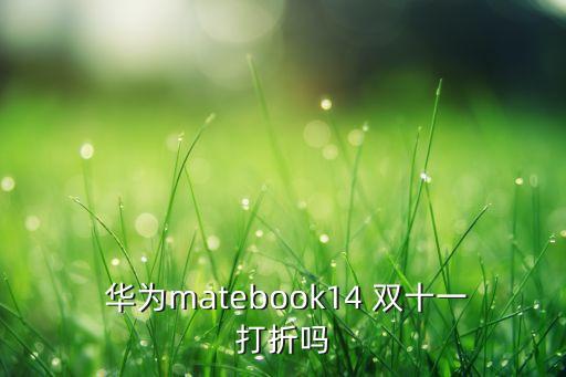 雙十一華為數(shù)據(jù),華為慶祝臺灣雙十回應