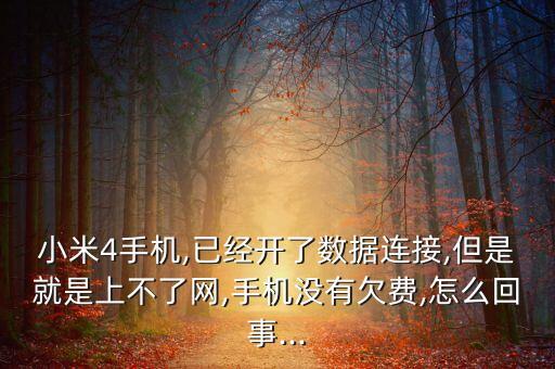 小米4手機(jī),已經(jīng)開了數(shù)據(jù)連接,但是就是上不了網(wǎng),手機(jī)沒(méi)有欠費(fèi),怎么回事...