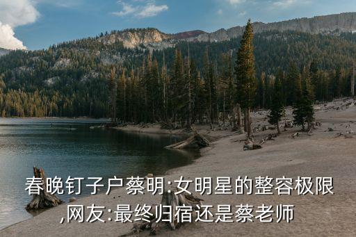 春晚機(jī)器人 造假