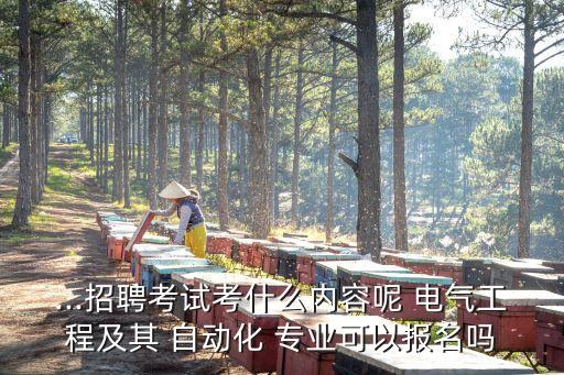 電氣自動(dòng)化專(zhuān)業(yè)考國(guó)家電網(wǎng)考什么