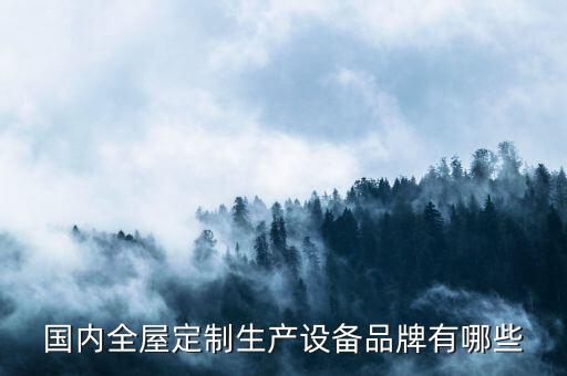國內(nèi)全屋定制生產(chǎn)設(shè)備品牌有哪些
