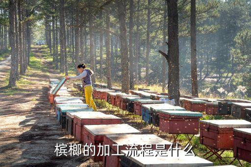 檳榔的加工流程是什么