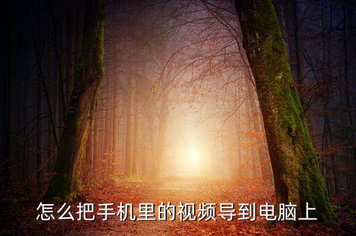 怎么把手機(jī)里的視頻導(dǎo)到電腦上