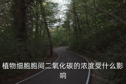 植物細胞胞間二氧化碳的濃度受什么影響