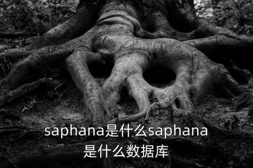 saphana是什么saphana是什么數(shù)據(jù)庫(kù)