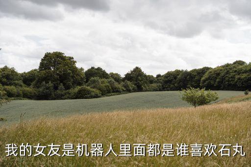 我的女友是機器人里面都是誰喜歡石丸