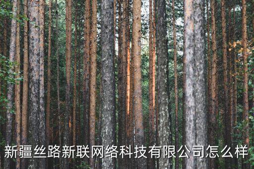 新疆絲路新聯(lián)網(wǎng)絡(luò)科技有限公司怎么樣