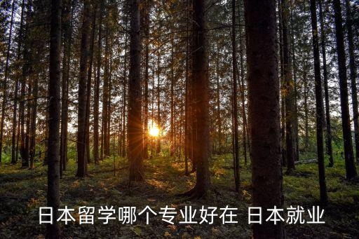 去日本自動化公司應(yīng)聘
