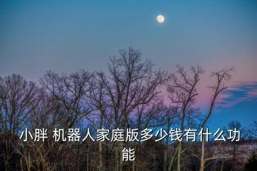 小胖機(jī)器人哪里買(mǎi)