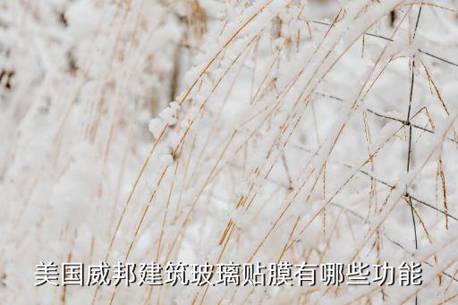 成都威邦自動(dòng)化設(shè)備,美國威邦建筑玻璃貼膜有哪些功能?