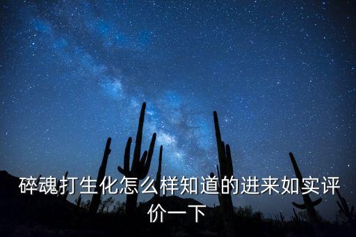  碎魂打生化怎么樣知道的進(jìn)來如實(shí)評(píng)價(jià)一下