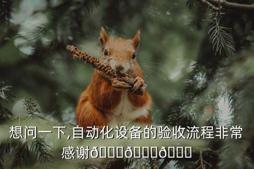 想問(wèn)一下,自動(dòng)化設(shè)備的驗(yàn)收流程非常感謝???