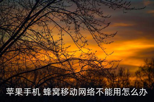 蘋果手機(jī) 蜂窩移動(dòng)網(wǎng)絡(luò)不能用怎么辦