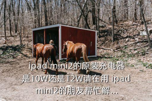 ipad mini2的原裝充電器是10W還是12W請在用 ipad mini2的朋友幫忙解...