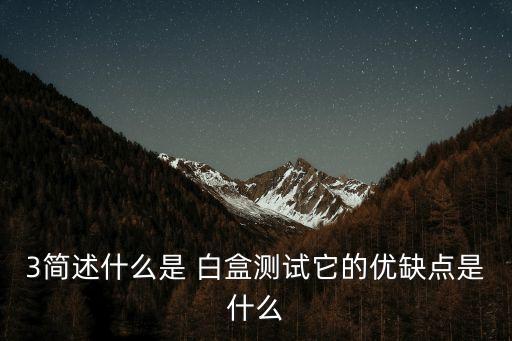 3簡述什么是 白盒測試它的優(yōu)缺點是什么