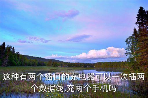 這種有兩個(gè)插口的充電器可以一次插兩個(gè)數(shù)據(jù)線,充兩個(gè)手機(jī)嗎
