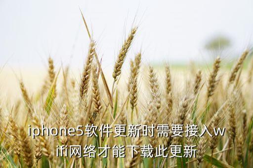 iphone5軟件更新時(shí)需要接入wifi網(wǎng)絡(luò)才能下載此更新