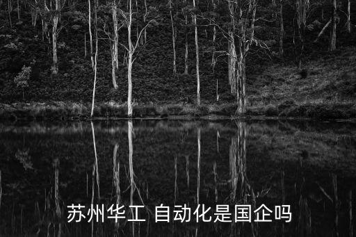  蘇州華工 自動(dòng)化是國企嗎