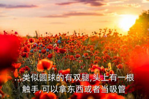 ...類似圓球的有雙腿,頭上有一根觸手,可以拿東西或者當吸管