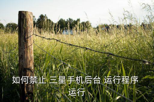 如何禁止 三星手機后臺 運行程序 運行