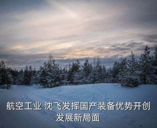 航空工業(yè) 沈飛發(fā)揮國(guó)產(chǎn)裝備優(yōu)勢(shì)開創(chuàng)發(fā)展新局面