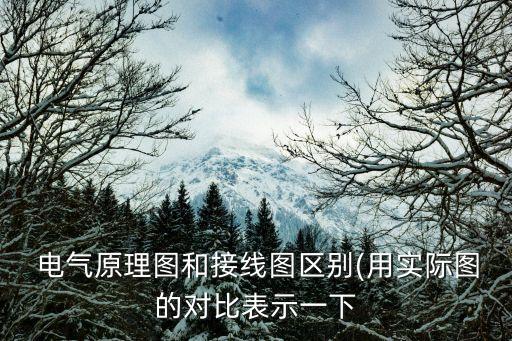 電氣自動化元件接法圖紙