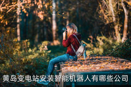 黃島變電站安裝智能機器人有哪些公司
