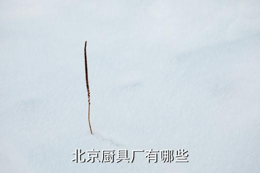北京廚具廠有哪些