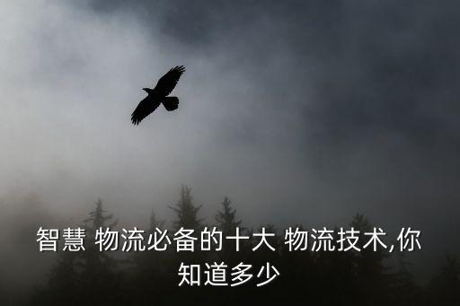 智慧 物流必備的十大 物流技術(shù),你知道多少
