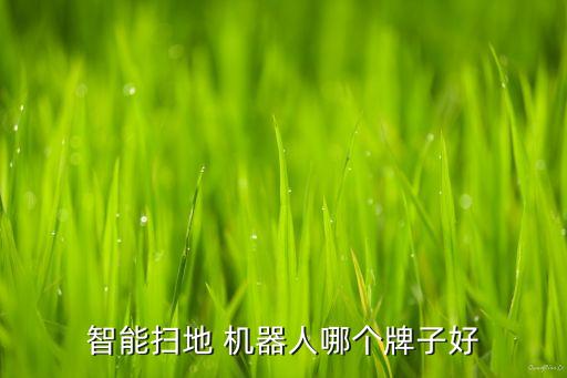 掃拖一體機(jī)器人排行榜,掃拖機(jī)器人品牌排行榜前十名