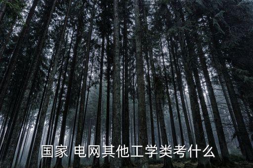  國(guó)家 電網(wǎng)其他工學(xué)類考什么