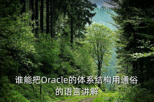 誰能把Oracle的體系結(jié)構(gòu)用通俗的語言講解