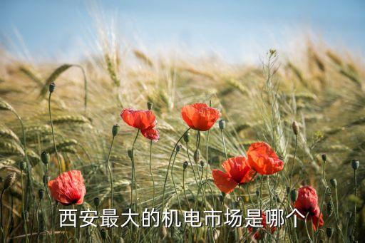 寧河區(qū)自動化機(jī)電設(shè)備價格,非標(biāo)自動化設(shè)備包括自動測試等