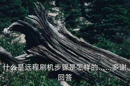 什么是遠程刷機步驟是怎樣的……多謝回答