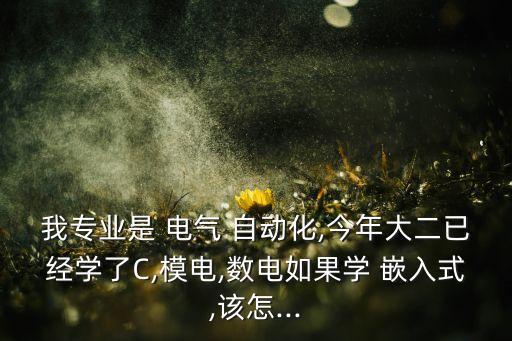 我專業(yè)是 電氣 自動(dòng)化,今年大二已經(jīng)學(xué)了C,模電,數(shù)電如果學(xué) 嵌入式,該怎...