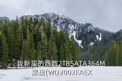 我新買的西數(shù)2TBSATA364M 黑盤(WD2002FAEX