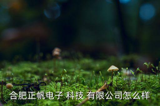 帆韜自動(dòng)化科技有限公司,蘇州正帆自動(dòng)化科技有限公司