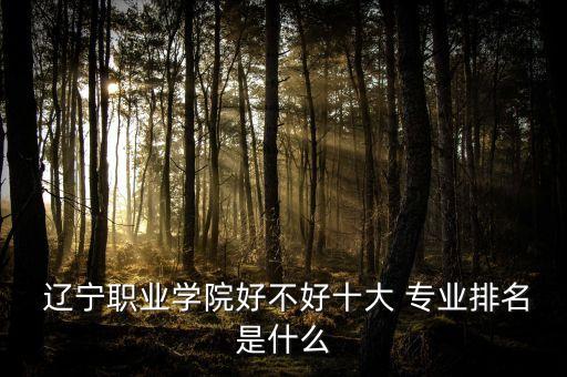 遼寧自動化專業(yè)排行,貴州自動化專業(yè)的大學(xué)排行