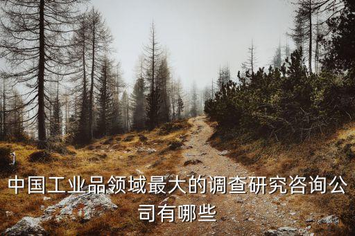 中國(guó)工業(yè)品領(lǐng)域最大的調(diào)查研究咨詢公司有哪些