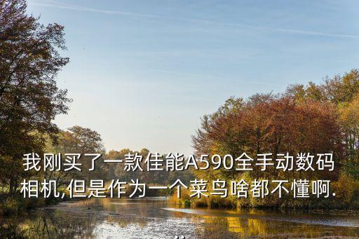 我剛買(mǎi)了一款佳能A590全手動(dòng)數(shù)碼相機(jī),但是作為一個(gè)菜鳥(niǎo)啥都不懂啊...