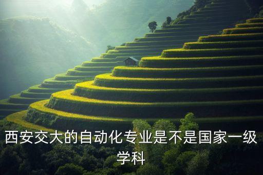 西安交大的自動(dòng)化專業(yè)是不是國(guó)家一級(jí)學(xué)科