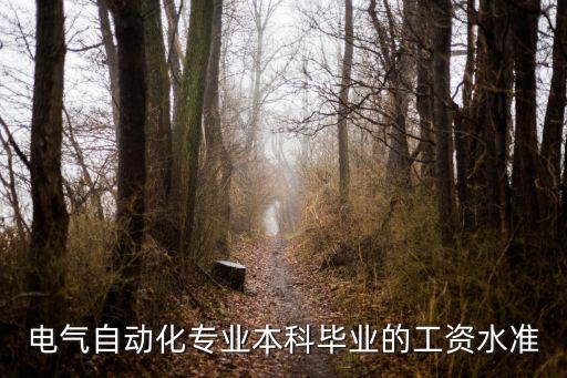 電氣自動化專業(yè)本科畢業(yè)的工資水準(zhǔn)