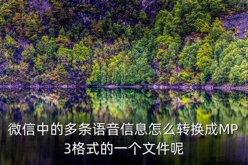 微信中的多條語音信息怎么轉(zhuǎn)換成MP3格式的一個(gè)文件呢
