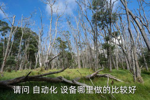 請(qǐng)問 自動(dòng)化 設(shè)備哪里做的比較好