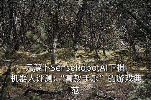robot機(jī)器人玩具充電,機(jī)器人玩具充電口在哪里
