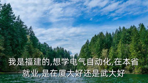 我是福建的,想學電氣自動化,在本省就業(yè),是在廈大好還是武大好