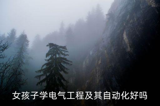 女孩子學電氣工程及其自動化好嗎