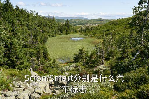 Scion.Smart分別是什么汽車標(biāo)志