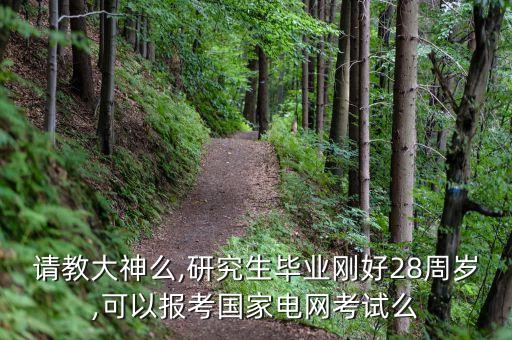 電氣自動(dòng)化專業(yè)招聘年齡,關(guān)于電氣自動(dòng)化技術(shù)專業(yè)的招聘公司