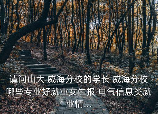 請(qǐng)問山大 威海分校的學(xué)長 威海分校哪些專業(yè)好就業(yè)女生報(bào) 電氣信息類就業(yè)情...